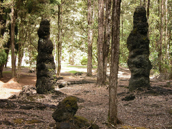 The Lava tree park 1.